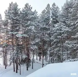 Колкуново - 69