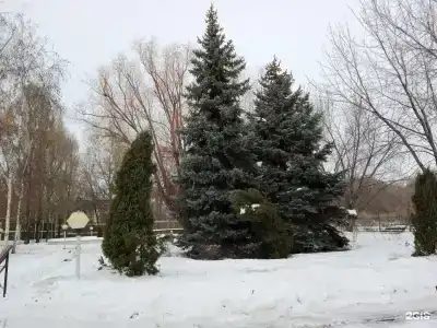 Ахтуба - 27