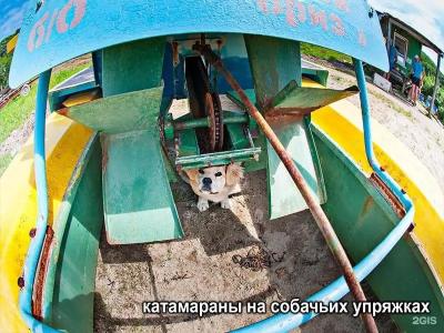 Нептун - 81