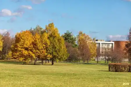 Усадьба Горки - 22