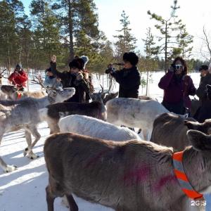 Арктик Хоум - 101