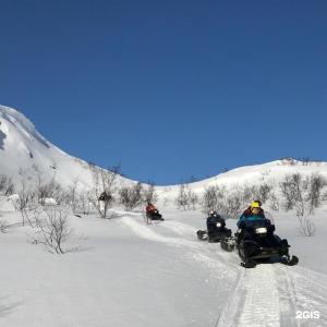 Арктик Хоум - 41