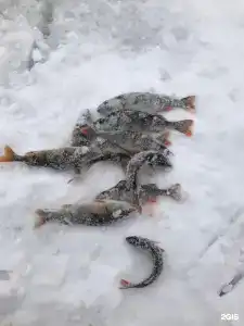 Эпос - 50