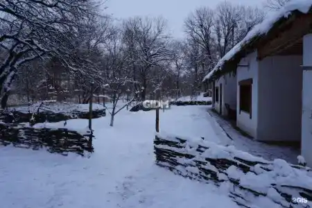 Репино - 78