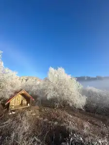 Старый Сивух - 51