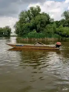 Fish Sense - 55