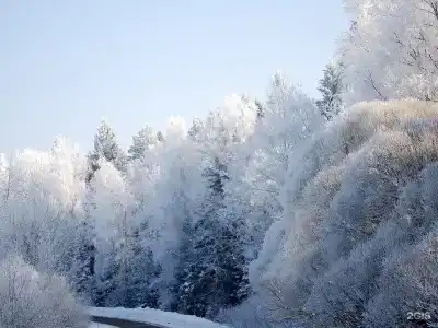 Загородный клуб VALDAY HUNTING & COUNTRY CLUB - 75