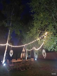 Берёзовка - 11