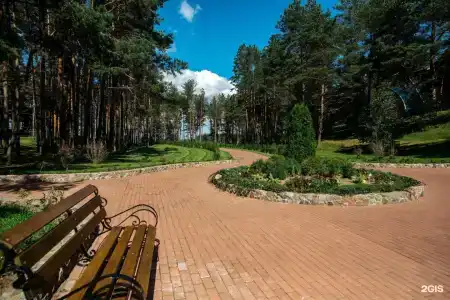 Борвиха - 31