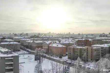 Cosmos Petrozavodsk - 113