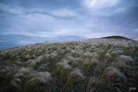 Скорняково-Архангельское - 28