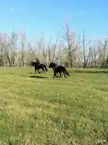 Летучая Рыба - 15