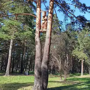 Прокопьевский - 44