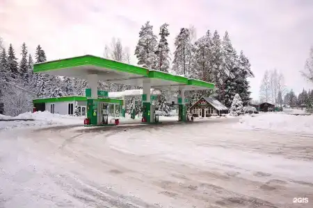 Медведь - 10