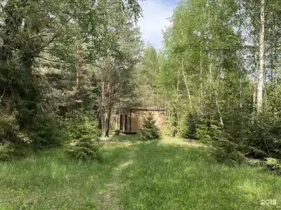 След Лося - 99