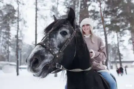 Царские Палаты - 41
