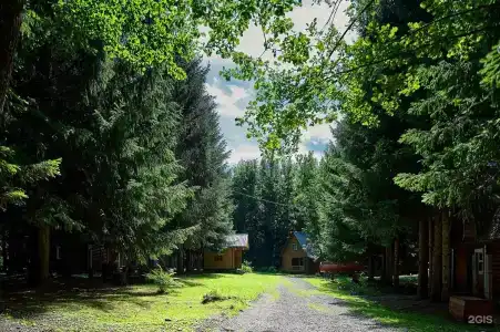 Лесовичок - 12