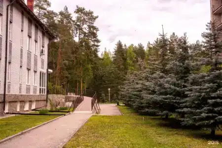 Русский лес - 49