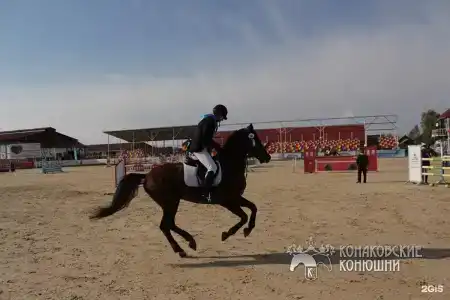 Загородный отель Konakoff в Сажино - 119