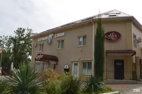 Алекс Хоум - 9