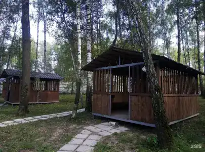 Золотая рыбка - 59