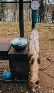 Аккала - 99