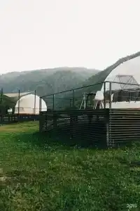Кокса Парк - 88