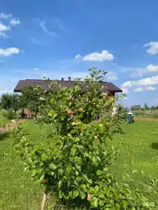 Большой камень - 32