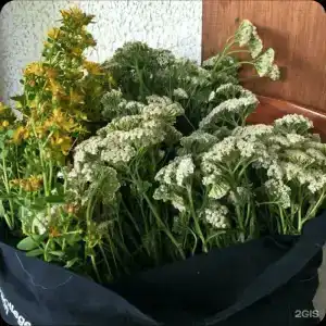 Агроферма Точка Отдыха - 82