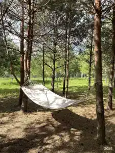 Дыши лесом - 5