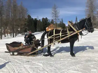Медвежья гора - 74