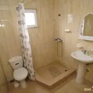 Виолетта - 15