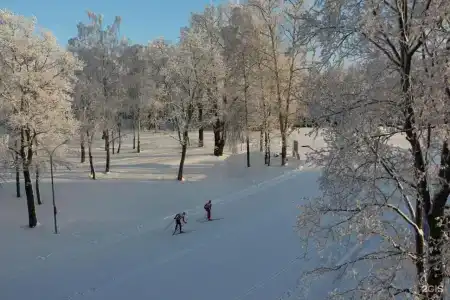 Русские Сезоны - 36