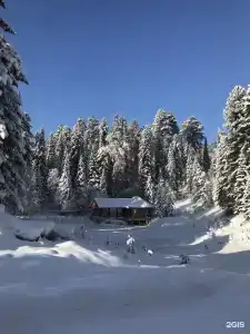Телецкое Золотое - 24