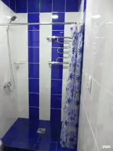 Дельфин - 9
