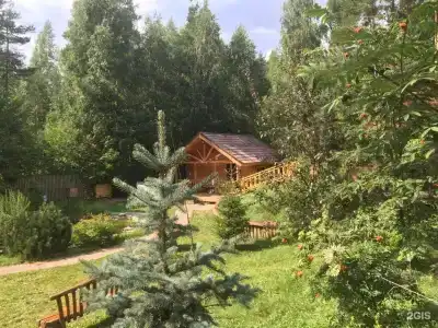 Ирбис - 40
