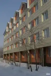 Березки - 60