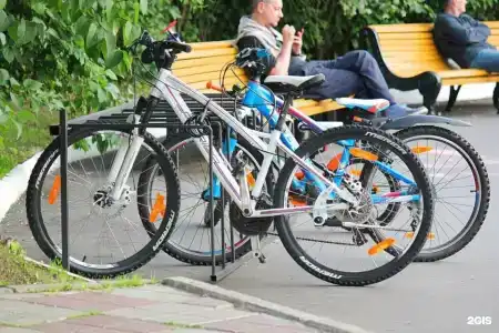 Десна - 83