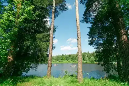 Зеленый Городок - 22