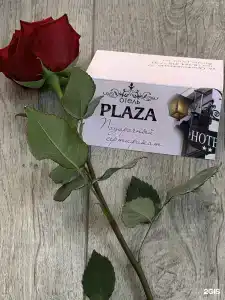 Плаза - 17