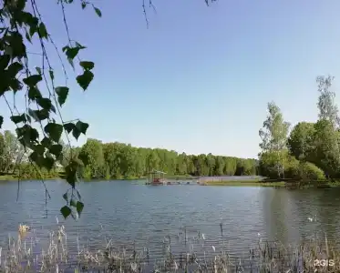 Гашкино - 14