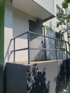 Ясень - 3