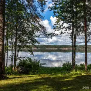 Cosmos Karelia - 11