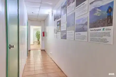 Зеленый - 36