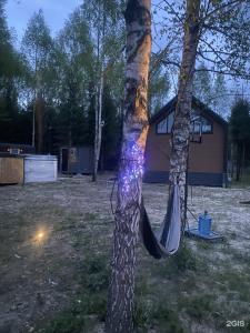 Воронино Фан - 30