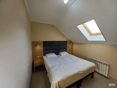 Zzz - 12
