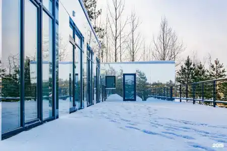 12 сосен - 88