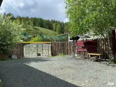 Эдельвейс - 11