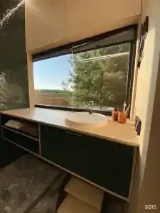 Лес - 49
