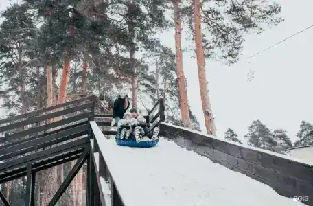 Чайка - 102